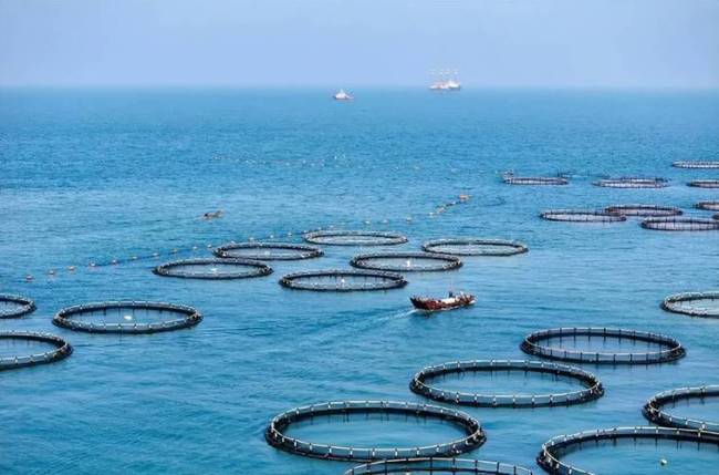 韩日就独岛问题争了600年的真相是啥?